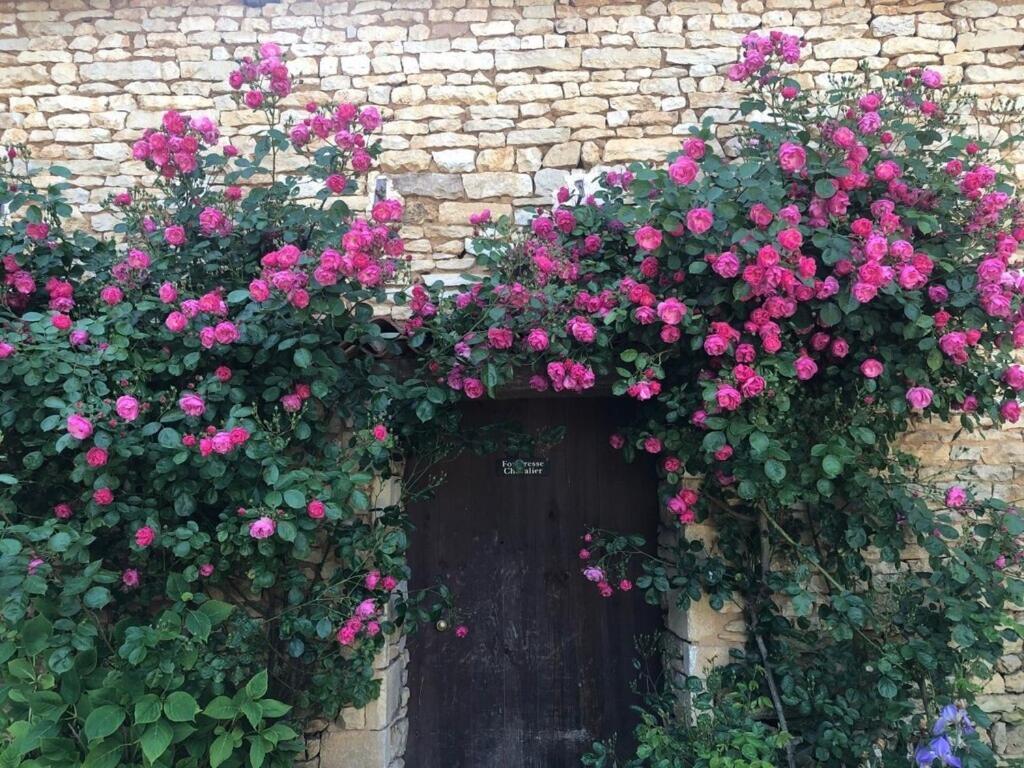 Blacksmiths Cottage In Blanzay - 3 Beds מראה חיצוני תמונה